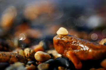 Pebble texture on the river bank