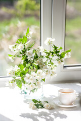 Jasmine fragrance flower