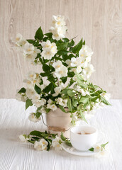 Jasmine fragrance flower