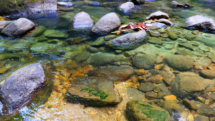 natural clean water in stream. waterfall.