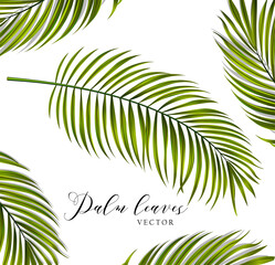 Vector palm leaves