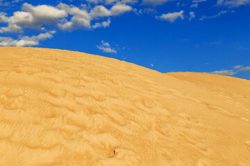 Yellow sand dunes.