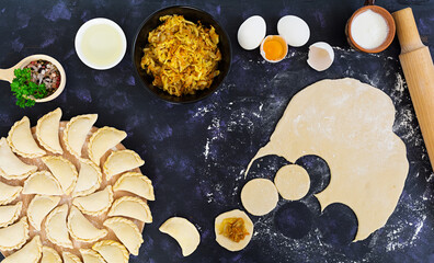 Delicious dumplings with cabbage on dark background. Top view