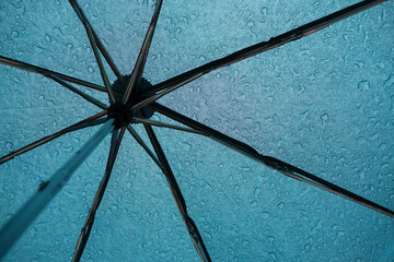 Raindrops on the umbrella