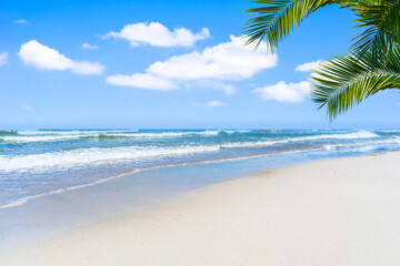 Strand, palme, meer, blauer himmel