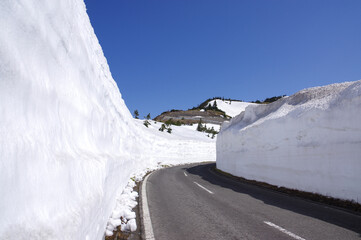 志賀草津高原ルートの雪の回廊