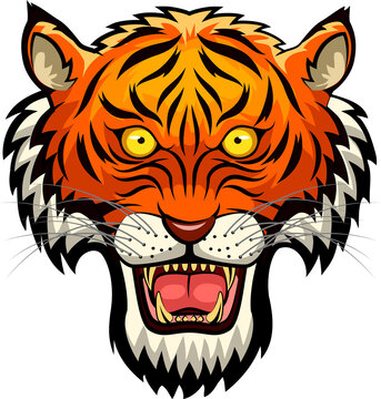 Tiger mascot face. Vector illustration