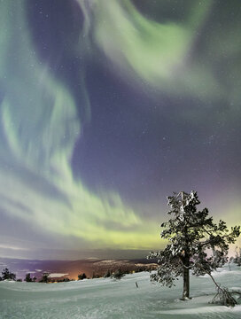 Panorama of snowy woods and frozen trees framed by Northern Lights (Aurora Borealis) and stars, Levi, Sirkka, Kittila, Lapland region, Finland