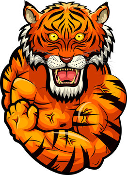 Tiger strong mascot. Vector illustration