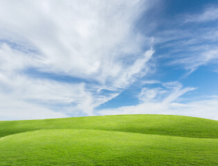Fototapeta premium field and blue sky