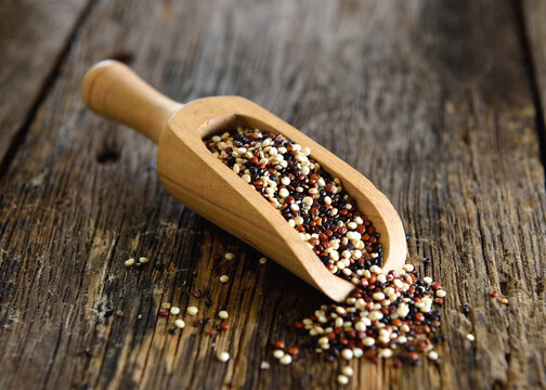 Quinoa seeds in wood scoop