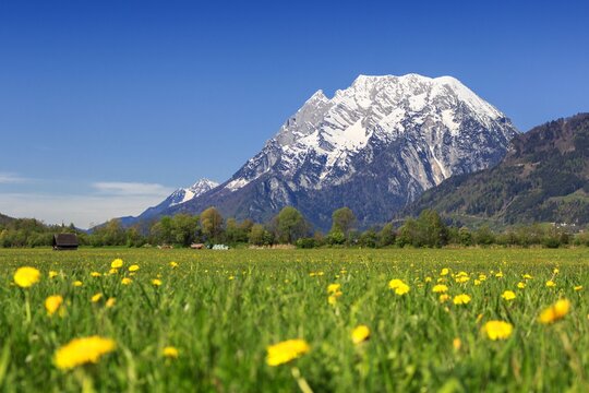 Grimming mit Blumenwiese