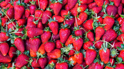 red strawberry. background