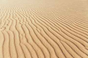 Lines in the sand of a beach, close up