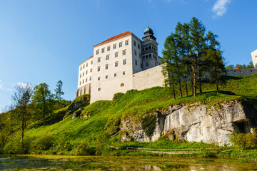 Fototapeta na wymiar Royal Castle Pieskowa Skala near Krakow, Poland