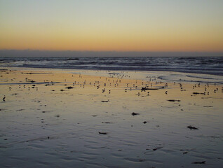 Beach at Sunset