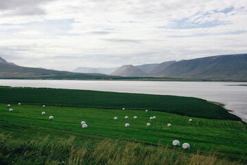 Fototapeta na wymiar landscape in the north of Iceland