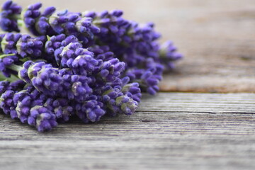 Lavender macro on wooden background 