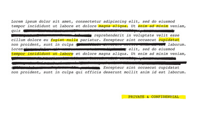 Vector Set of Highlights & Redactions