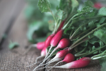 Fresh harvest of radishes on a wooden background.
