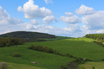 View from Erbens lookout tower. Czech landscape