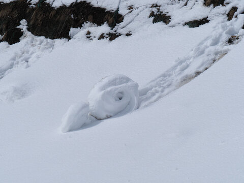 「まくり」の写真素材 35件の無料イラスト画像 Adobe Stock