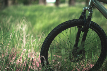 Fototapeta na wymiar Sport bike on the grass in the park.