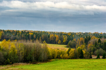 Naklejka premium Autumn morning