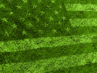 American flag grass