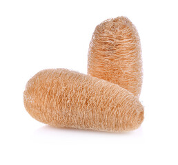 Loofah Body Scrub on white background