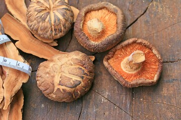 Ganoderma lucidum dried and shiitake