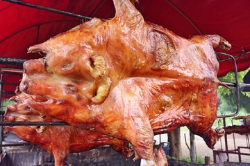 tasty barbecued suckling pig
