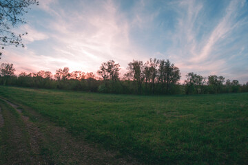 Spring evening landscape at sunset.