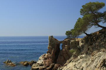 Fototapeta na wymiar Rocky shore of Mediterranean Sea with two pines at the slope in Spain landscape