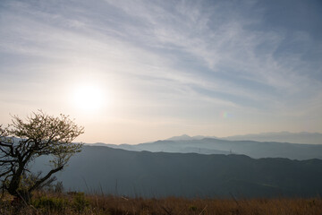 Nature Cloud Sky landscape Mountain close-up Japan Sunshine Sunrise Sunlight Forest Park Stairs