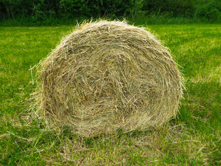 The straw is twisted into a round stack on the field.
