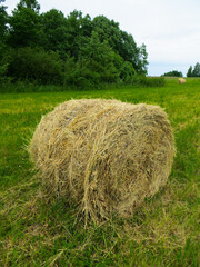 The straw is twisted into a round stack on the field.
