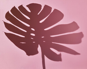 Pink background with shadow