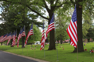 American flags along a roadside
