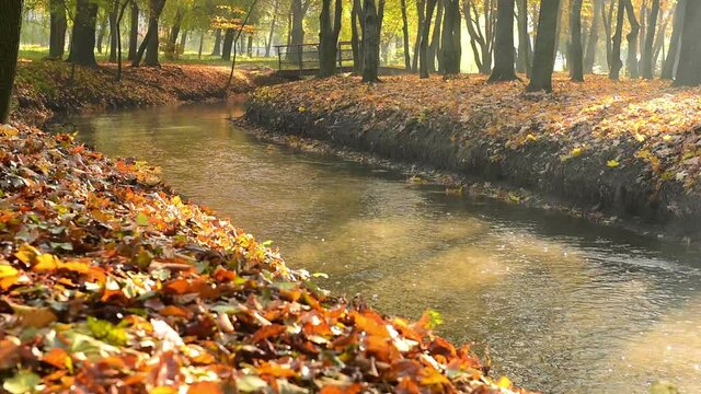 Amazing autumn in Topilche Hydropark, Ternopil city, Ukraine, Europe. Strong sunrays falls on red and orange leaves.