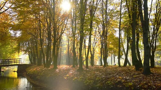 Amazing autumn in Topilche Hydropark, Ternopil city, Ukraine, Europe. Strong sunrays falls on red and orange leaves.