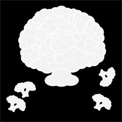 Cauliflower isolated on black background