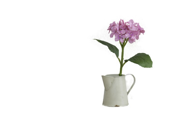 flower vase isolated on white background.