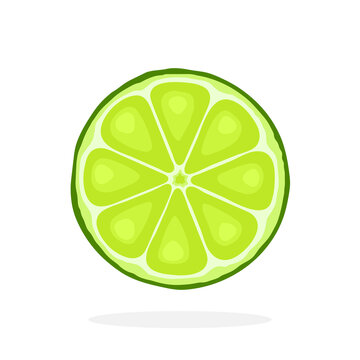 Vector illustration in flat style. Slice of lime. Healthy vegetarian food. Citrus fruits. Decoration for greeting cards, prints for clothes, posters, menus