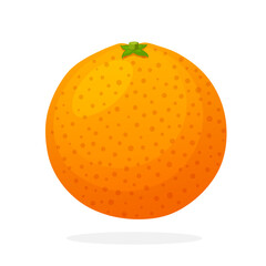 Vector illustration in flat style. Whole grapefruit. Healthy vegetarian food. Citrus fruits. Decoration for greeting cards, prints for clothes, posters, menus