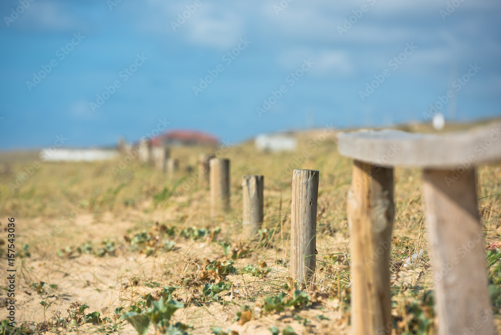 Poster Wooden fence on Atlantic beach in France