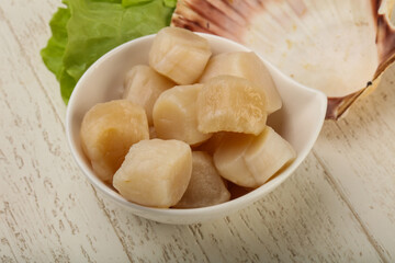 Raw scallops heap