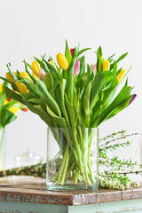 Multicolored tulips flowers bouquet in a glass vase