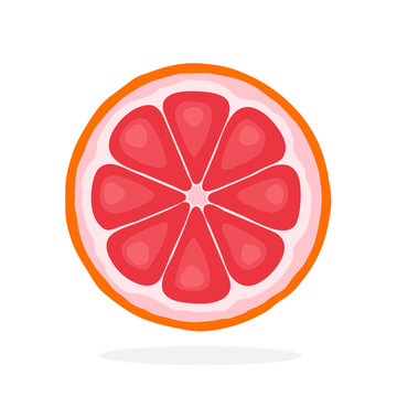 Vector illustration in flat style. Slice of grapefruit. Healthy vegetarian food. Citrus fruits. Decoration for greeting cards, prints for clothes, posters, menus
