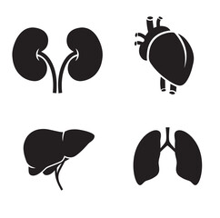 Liver, lungs, heart, kidney - human organs vector icon set.